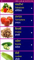 Learn Punjabi From Hindi โปสเตอร์