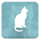 고양이를 부탁해! (Cats In Me) 고양이 정보-icoon