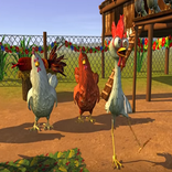 Musica para niños el pavo y la pava