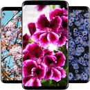 Flower Wallpapers HD 4K 2023 APK
