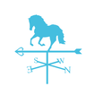 Manege De Blauwe Steen simgesi