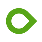 Dexcom ONE icon