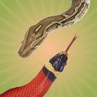 Snake Touch icono