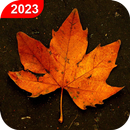 Autumn Live Wallpaper HD APK