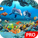 Fish Live Wallpaper Aquarium P APK