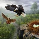 Flying Bird Simulator Game APK