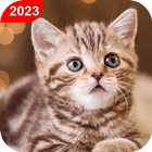 Cute Animated Cat Wallpapers icon