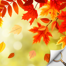 Hidden Object - Autumn Garden aplikacja