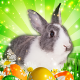 Hidden Object: Easter Egg Hunt APK