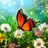Hidden Object Enchanted Spring APK