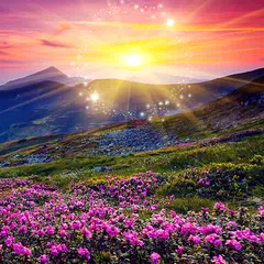 Hidden Object: Summer Serenity XAPK 下載