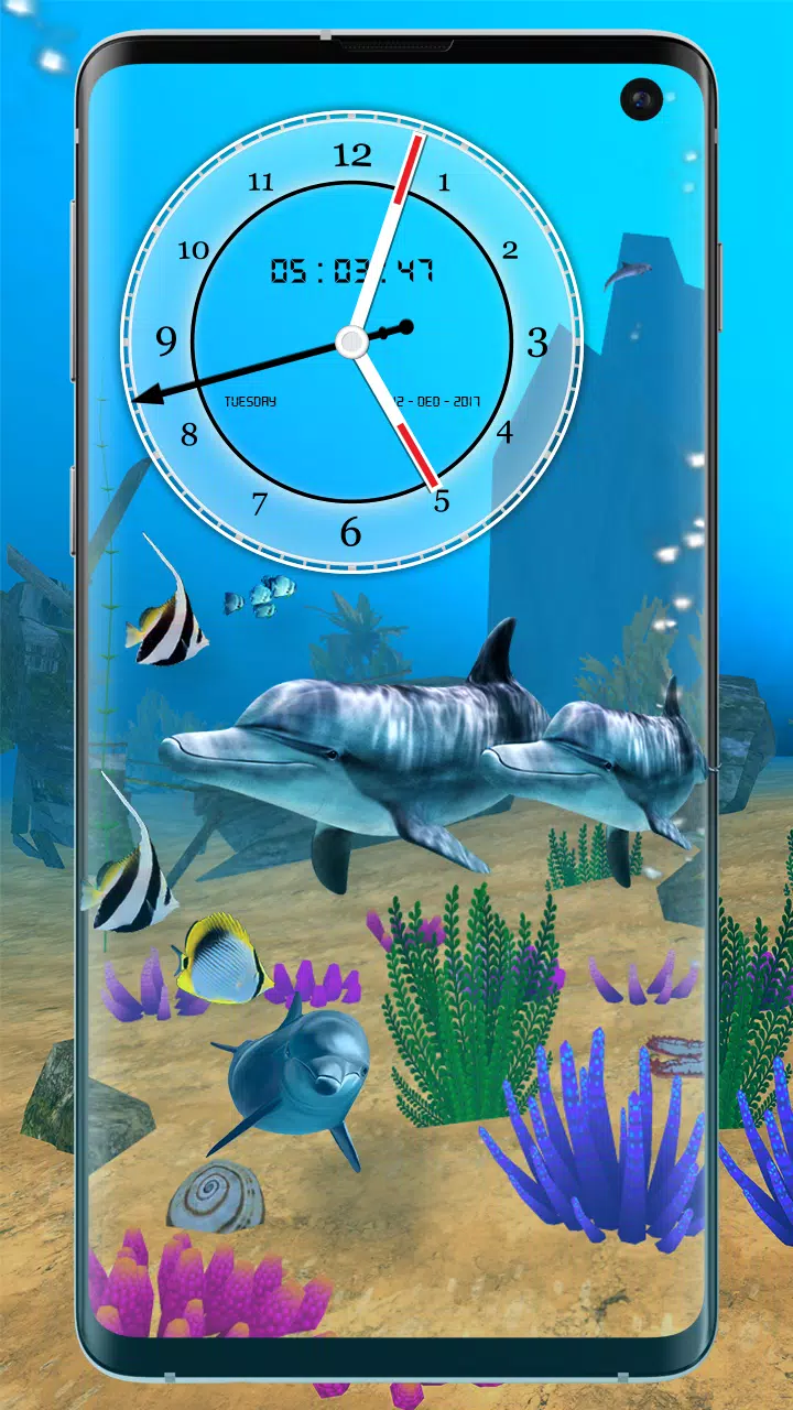 Tải xuống APK Dolphin Fish Live Wallpaper HD cho Android