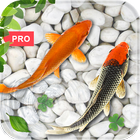 Fish Live Wallpaper : Koi PRO icon