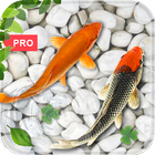 Fish Live Wallpaper : Koi PRO simgesi