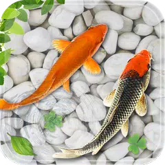 Fish Live Wallpaper Aquarium XAPK download