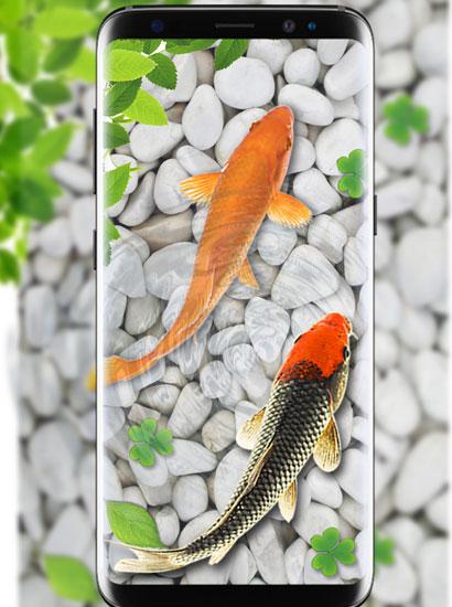 無料で 魚 ライブ 壁紙 18 水族館 コイ 背景 アプリの最新版 Apk2 4をダウンロードー Android用 魚 ライブ 壁紙 18 水族館 コイ 背景 Apk の最新バージョンをダウンロード Apkfab Com Jp