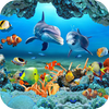 Кои Рыба Живые Обои 3D иконка