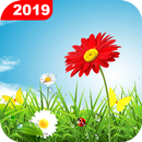 Green Grass Live Wallpaper HD APK