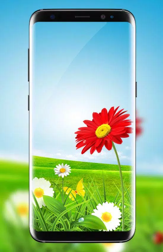 Green Grass Live Wallpaper HD: 4K Background 2020 APK for Android Download Green Grass Live Wallpaper HD: 4K Background 2020 APK for Android Download