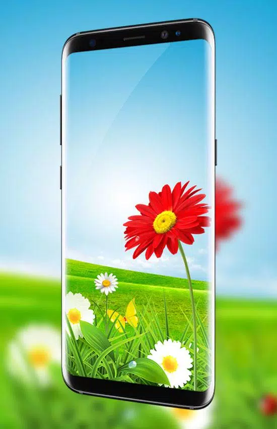 Green Grass Live Wallpaper HD: 4K Background 2020 APK for Android Download