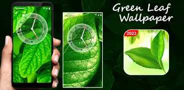 Green Leaf Live Wallpaper HD