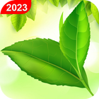 Green Leaf Live Wallpaper icon