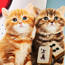 Hidden Mahjong: The Cat Family APK