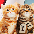 Hidden Mahjong: The Cat Family icône