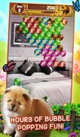 Puppy Dog Pop - Bubble Shoot تصوير الشاشة 1