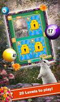Lightning Bingo - May Flowers Cartaz