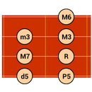 DG Ukelele Scales APK