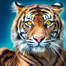 permainan memburu singa: LHG APK