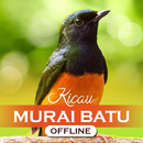 Masteran Kicau Murai Batu APK