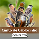 Canto dos Caboclinho Completo APK