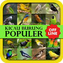 Kicau Burung Populer Offline APK