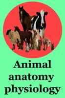 Animal anatomy physiology poster