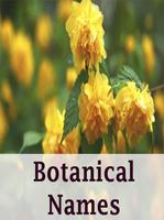 Botanical names Affiche