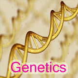 Genetics - Notes ícone