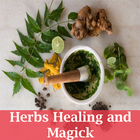 Herbs healing and magic icon
