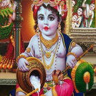 Krishna leela - hindi icon