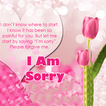 ”Apology and sorry messages