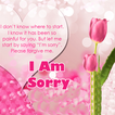 Apology and sorry messages