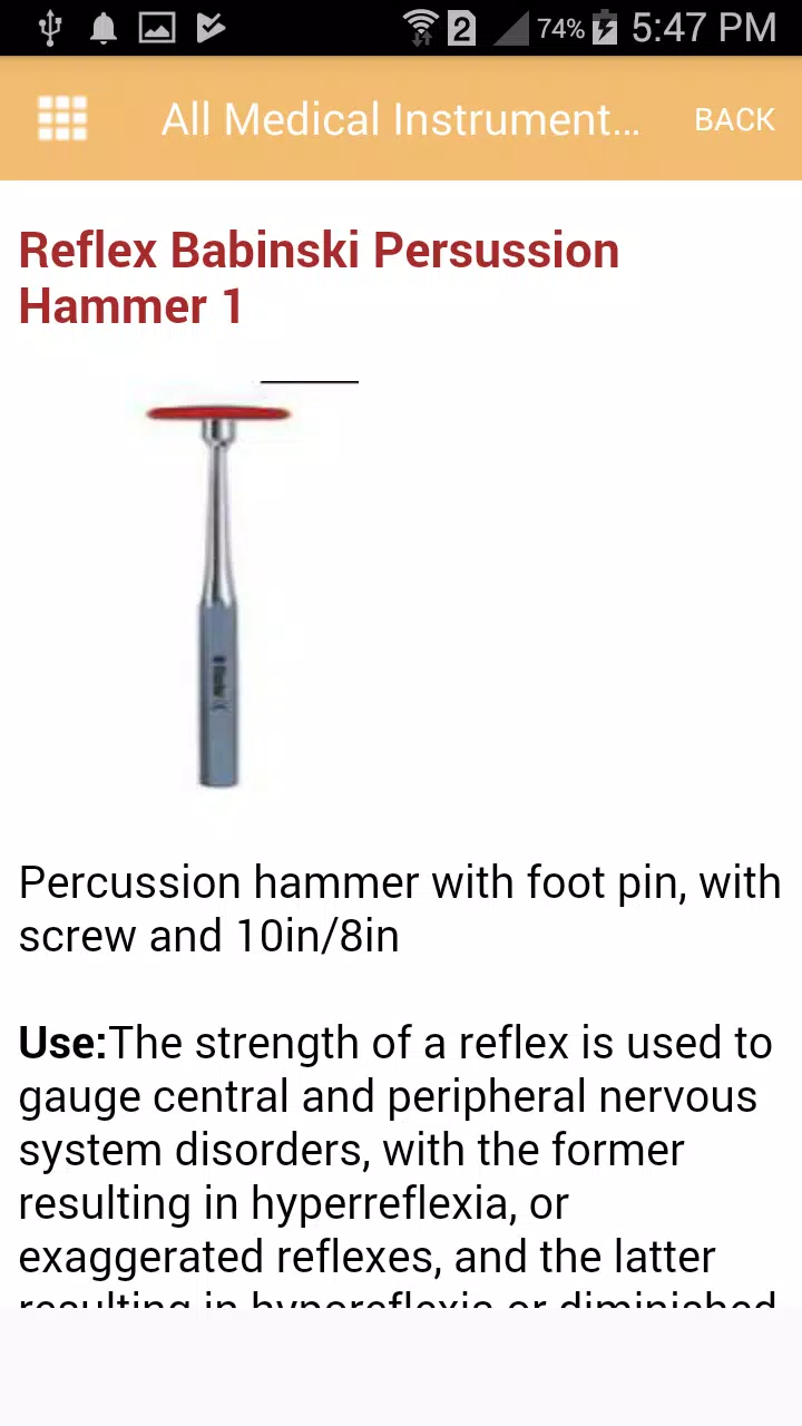 A Guide To The Different Kinds Of Reflex Hammers