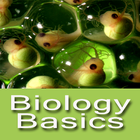 Icona Biology Basics- Guide To Mastering Basic Biology