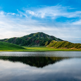 Nature Stickers biểu tượng