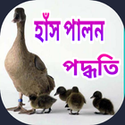 হাঁস পালন ও চিকিৎসা-icoon