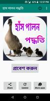 হাঁস পালন ও চিকিৎসা Plakat