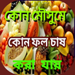 কোন মৌসুমে কোন সবজি বা ফল চাষ করা যায়