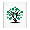 BHGY - बिरसा हरित ग्राम योजना