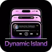 Dynamic Notch for Notification